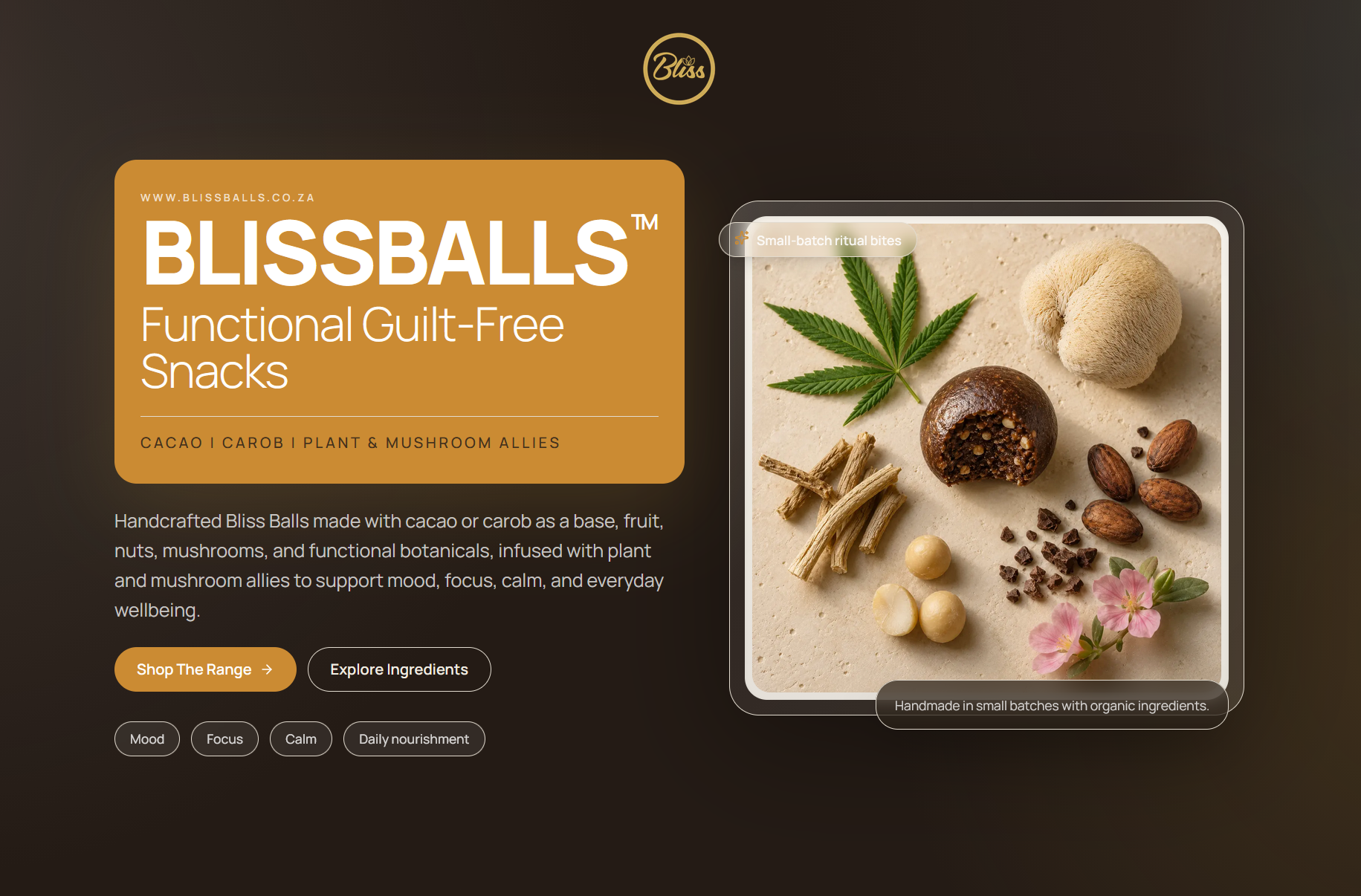 Screenshot preview of the Bliss Balls storefront